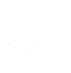 Pretitle-image